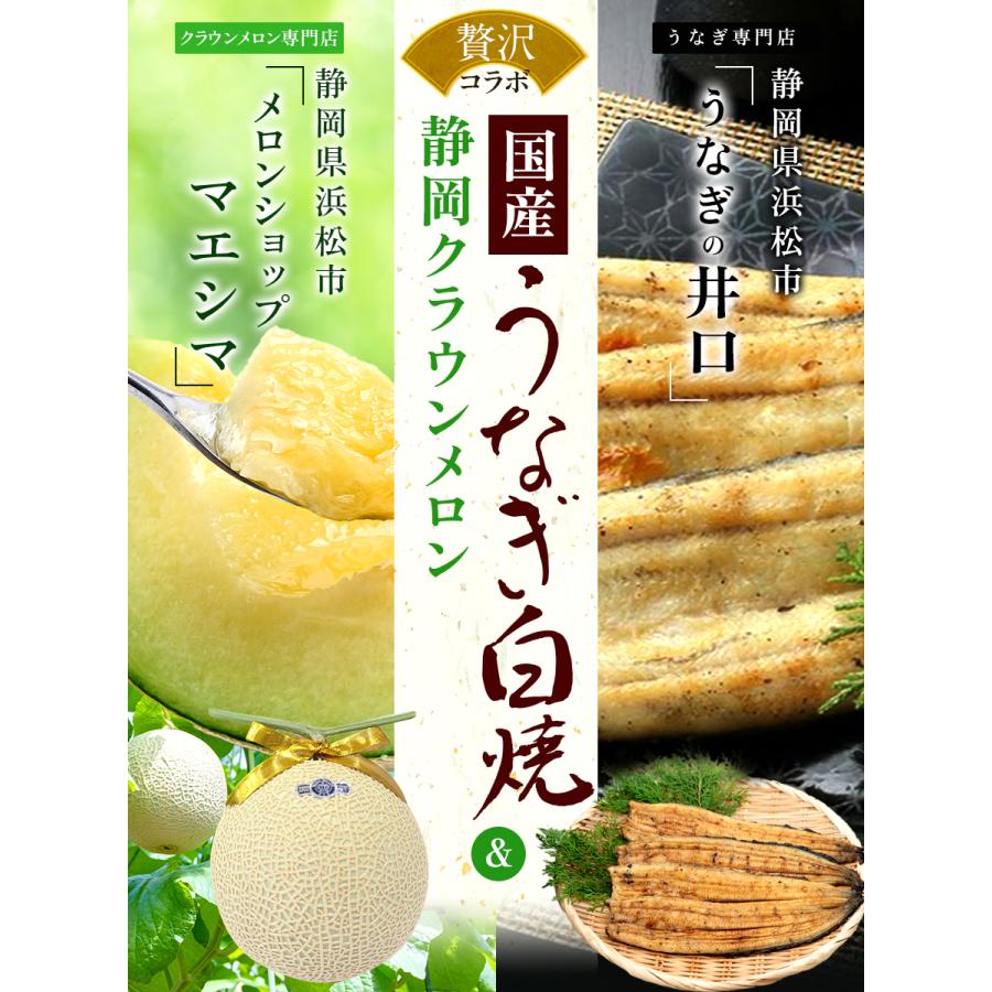 フルーツ・メロン クラウンメロン 上 山等級 1玉×うなぎ白焼 3本 静岡クラウンメロン 国産 うなぎの蒲焼 母の日 ギフト 内祝い 贈答 フルーツギフト | ブランド登録なし | 01