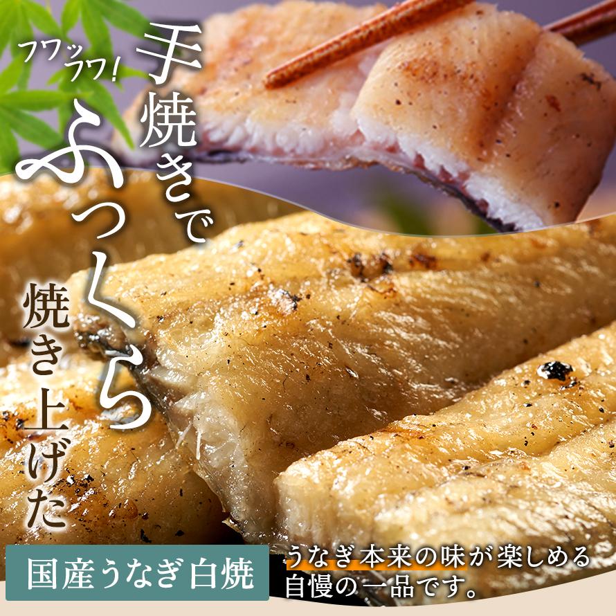 フルーツ・メロン クラウンメロン 上 山等級 1玉×うなぎ白焼 3本 静岡クラウンメロン 国産 うなぎの蒲焼 母の日 ギフト 内祝い 贈答 フルーツギフト | ブランド登録なし | 03