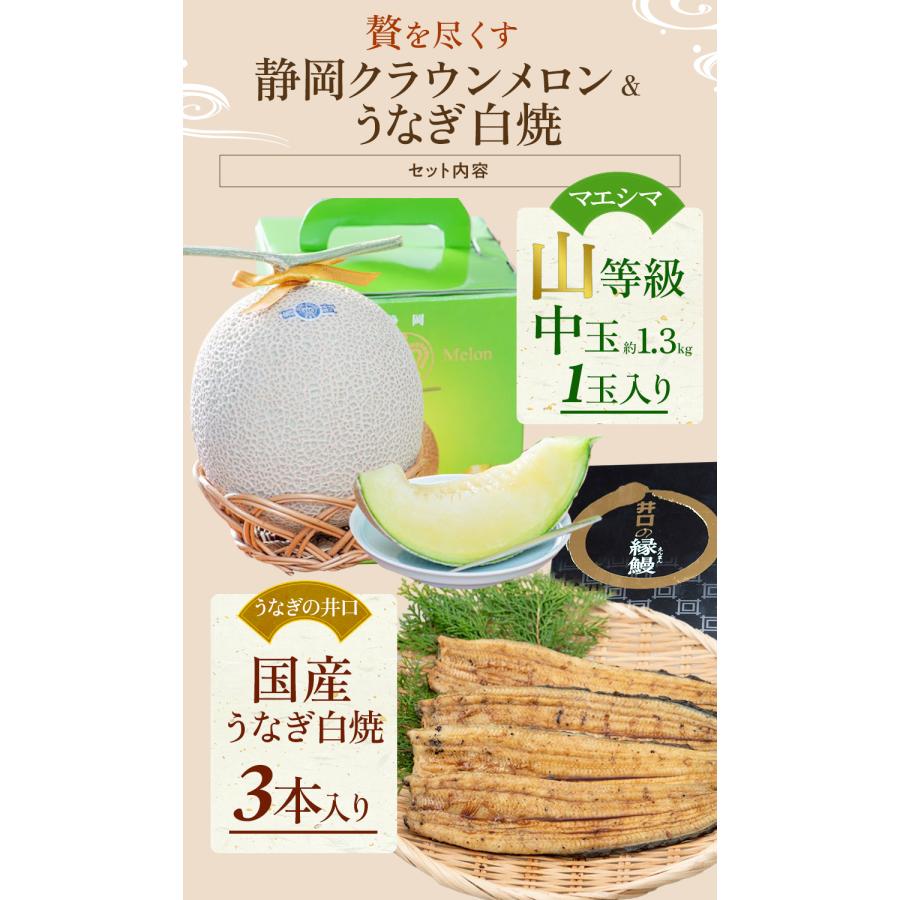 フルーツ・メロン クラウンメロン 上 山等級 1玉×うなぎ白焼 3本 静岡クラウンメロン 国産 うなぎの蒲焼 母の日 ギフト 内祝い 贈答 フルーツギフト | ブランド登録なし | 06