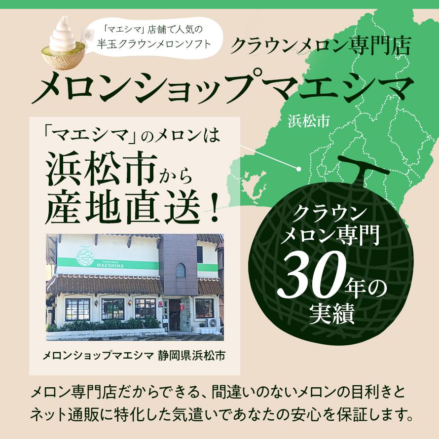 フルーツ・メロン クラウンメロン 上 山等級 1玉×うなぎ白焼 3本 静岡クラウンメロン 国産 うなぎの蒲焼 母の日 ギフト 内祝い 贈答 フルーツギフト | ブランド登録なし | 07