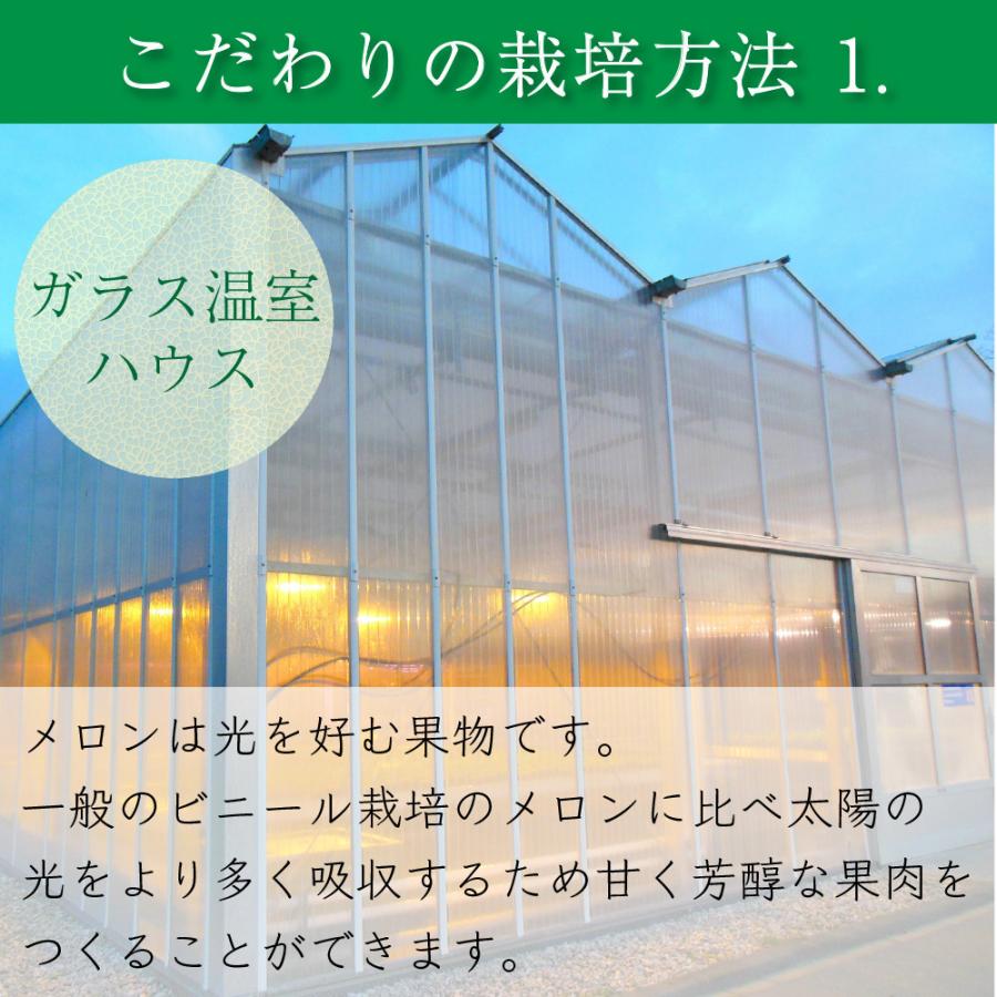 フルーツ・メロン 生ハムメロンプレミアムセット (クラウンメロン山等級1玉×生ハム(コッパ×３) 母の日 生ハム コッパ 静岡県産 マスクメロン ギフト 贈答｜crownmelon｜09