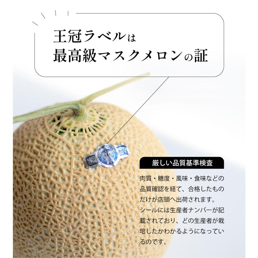 生ハムメロンセット (クラウンメロン白等級1玉(静岡県産) ふじやまプロシュート×3) | ブランド登録なし | 10
