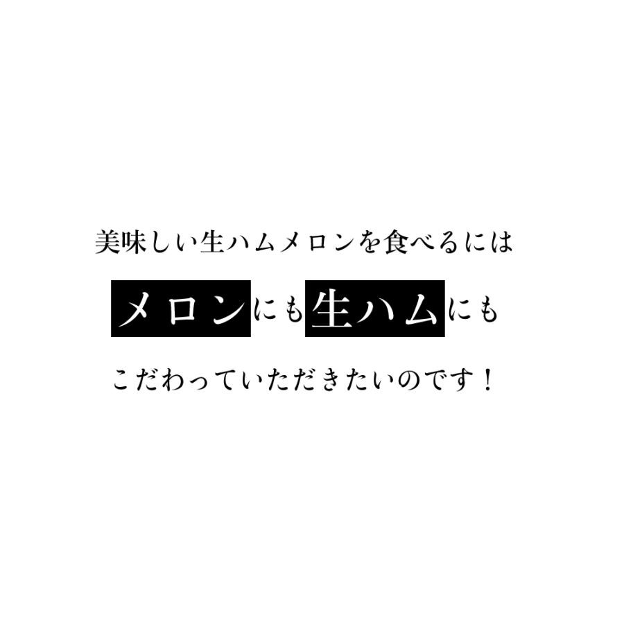 生ハムメロンセット (クラウンメロン白等級1玉(静岡県産) ふじやまプロシュート×3) | ブランド登録なし | 05