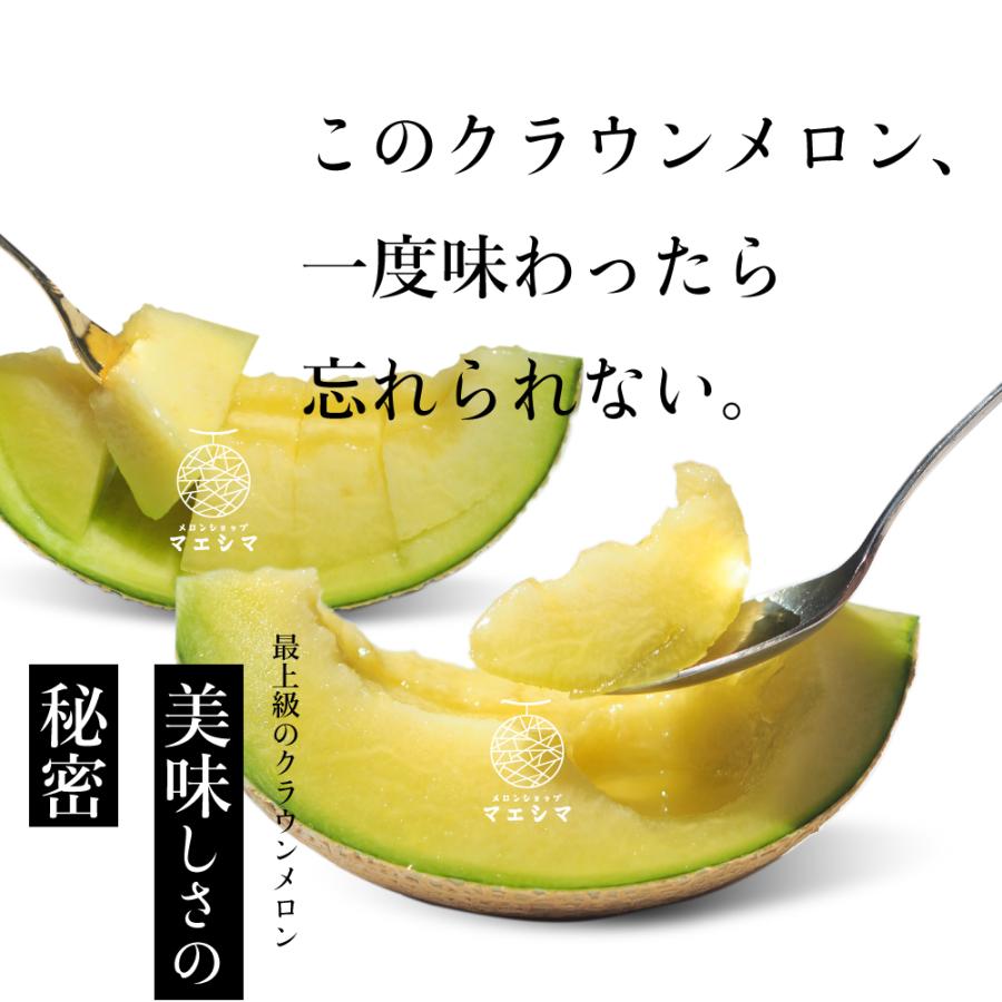 生ハムメロンセット (クラウンメロン白等級1玉(静岡県産) ふじやまプロシュート×3) | ブランド登録なし | 08