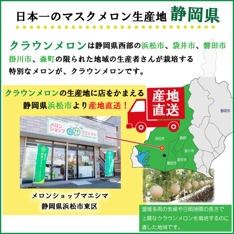 クラウンメロン×国産うなぎ炊き込みごはんセット(クラウンメロン白等級1玉×国産うなぎ炊き込みごはんの素×1) 静岡クラウンメロン うなぎ ギフト 贈答｜crownmelon｜12