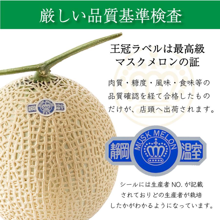 クラウンメロン×国産うなぎ肝のたれ煮プレミアムセット(クラウンメロン山等級1玉×国産うなぎ肝のたれ煮×1) 静岡クラウンメロン うなぎ 母の日 ギフト 贈答 | ブランド登録なし | 07