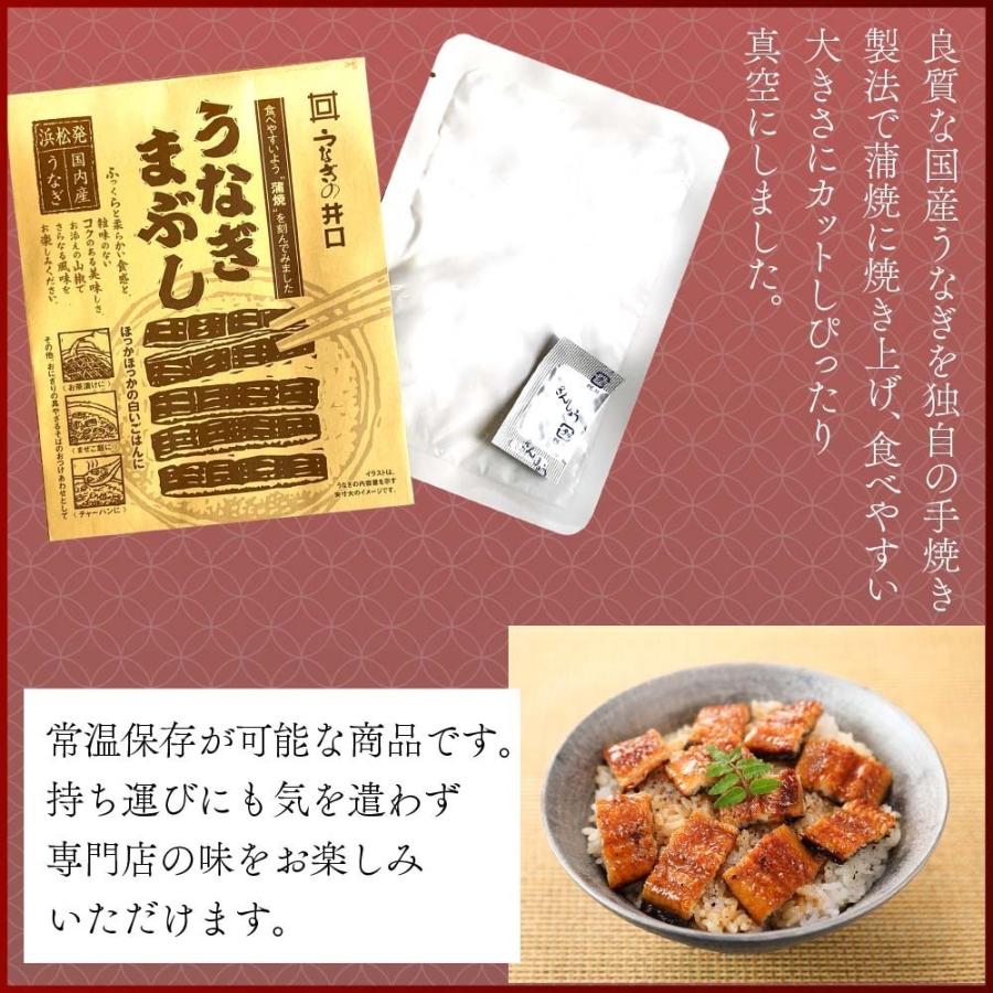 クラウンメロン×国産うなぎまぶしセット(クラウンメロン白等級1玉×国産うなぎまぶし×３) 静岡クラウンメロン うなぎ 母の日 ギフト 内祝い 贈答 | ブランド登録なし | 02