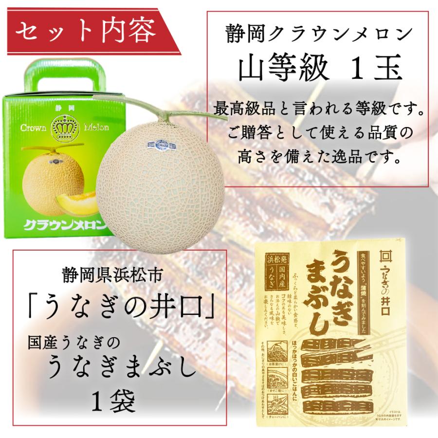 クラウンメロン×国産うなぎまぶしプレミアムセット(クラウンメロン山等級1玉×国産うなぎまぶし×1) 静岡クラウンメロン うなぎ 母の日 ギフト 内祝い 贈答 | ブランド登録なし | 01