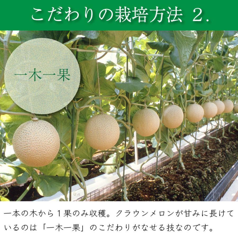 クラウンメロン×国産うなぎまぶしプレミアムセット(クラウンメロン山等級1玉×国産うなぎまぶし×1) 静岡クラウンメロン うなぎ 母の日 ギフト 内祝い 贈答 | ブランド登録なし | 09