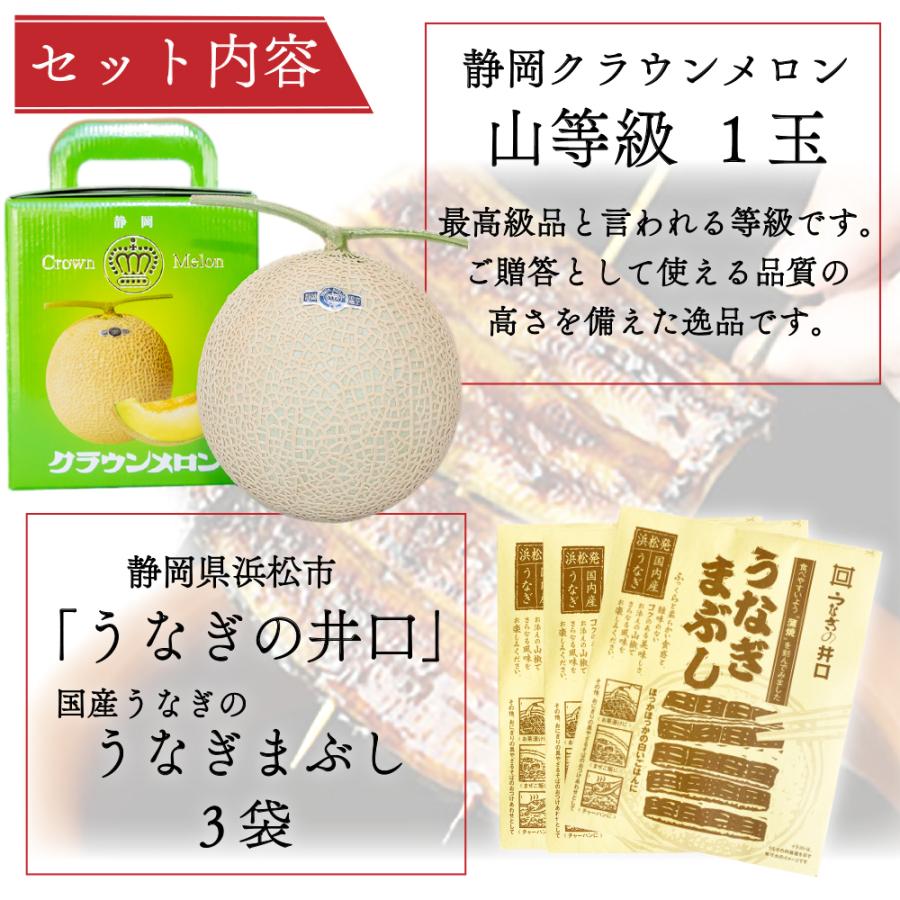 クラウンメロン×国産うなぎまぶしプレミアムセット(クラウンメロン山等級1玉×国産うなぎまぶし×３) 静岡クラウンメロン うなぎ 母の日 ギフト 贈答 | ブランド登録なし | 01