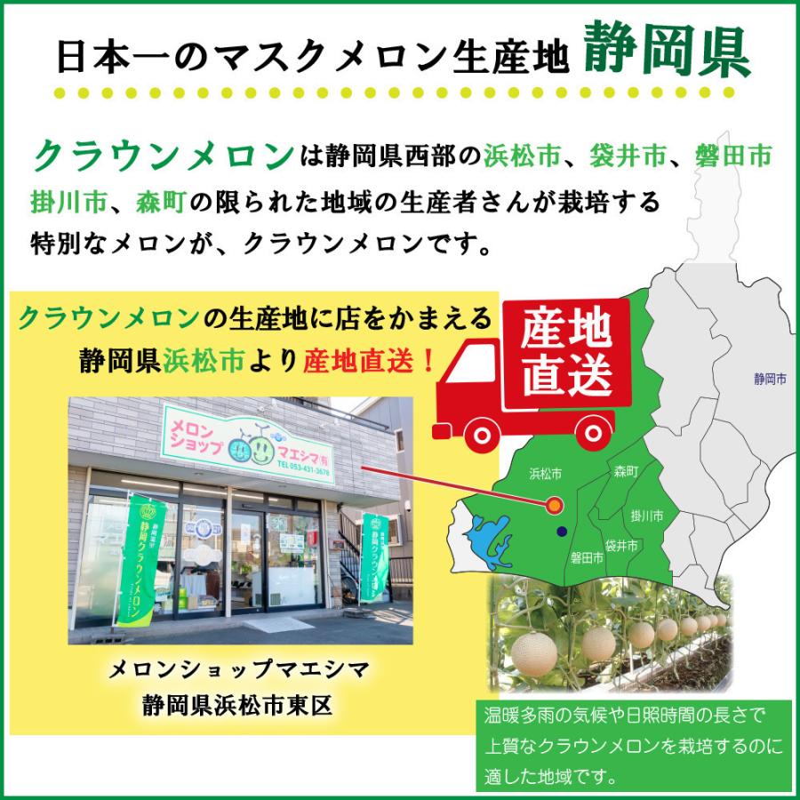 クラウンメロン×国産うなぎまぶしプレミアムセット(クラウンメロン山等級1玉×国産うなぎまぶし×３) 静岡クラウンメロン うなぎ 母の日 ギフト 贈答 | ブランド登録なし | 11