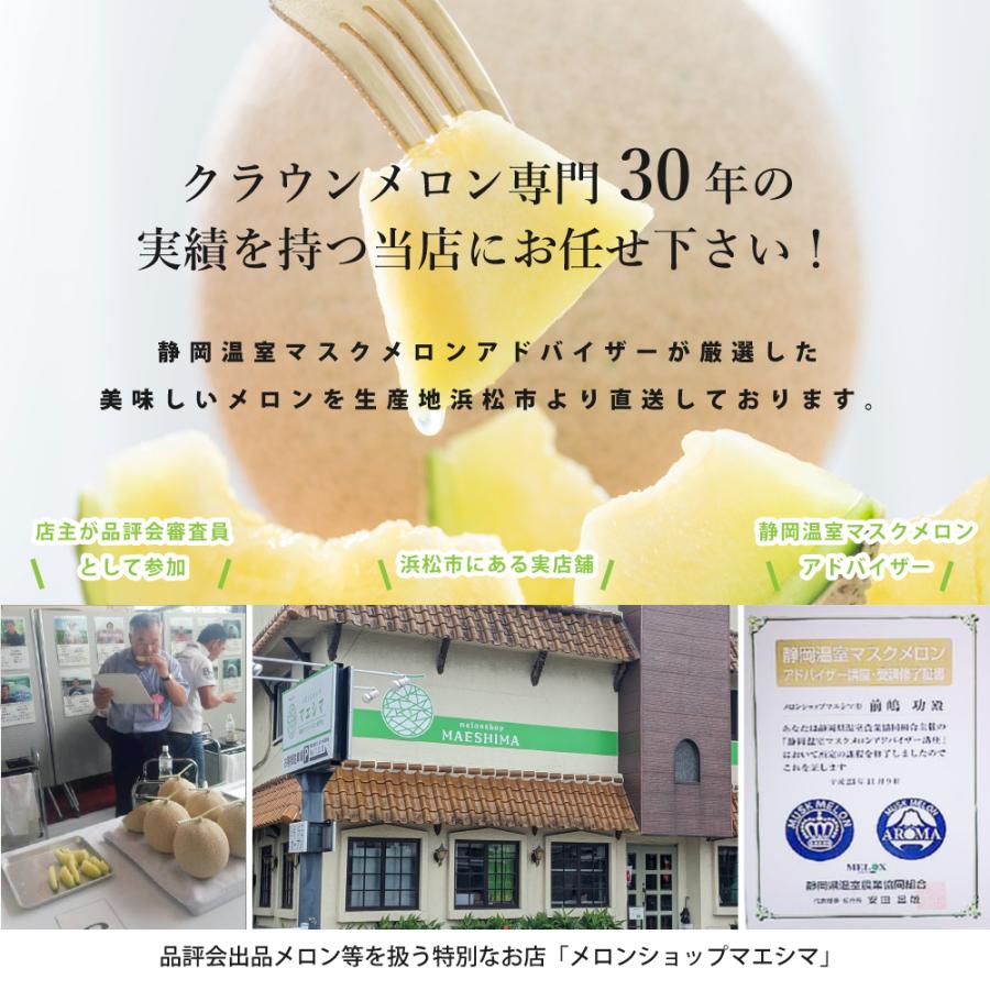 静岡クラウンメロンジェラート　90ml×6個セット　メロン専門店　贈り物　お中元　アイスクリーム　クラウンメロン　北海道産生クリーム | ブランド登録なし | 06