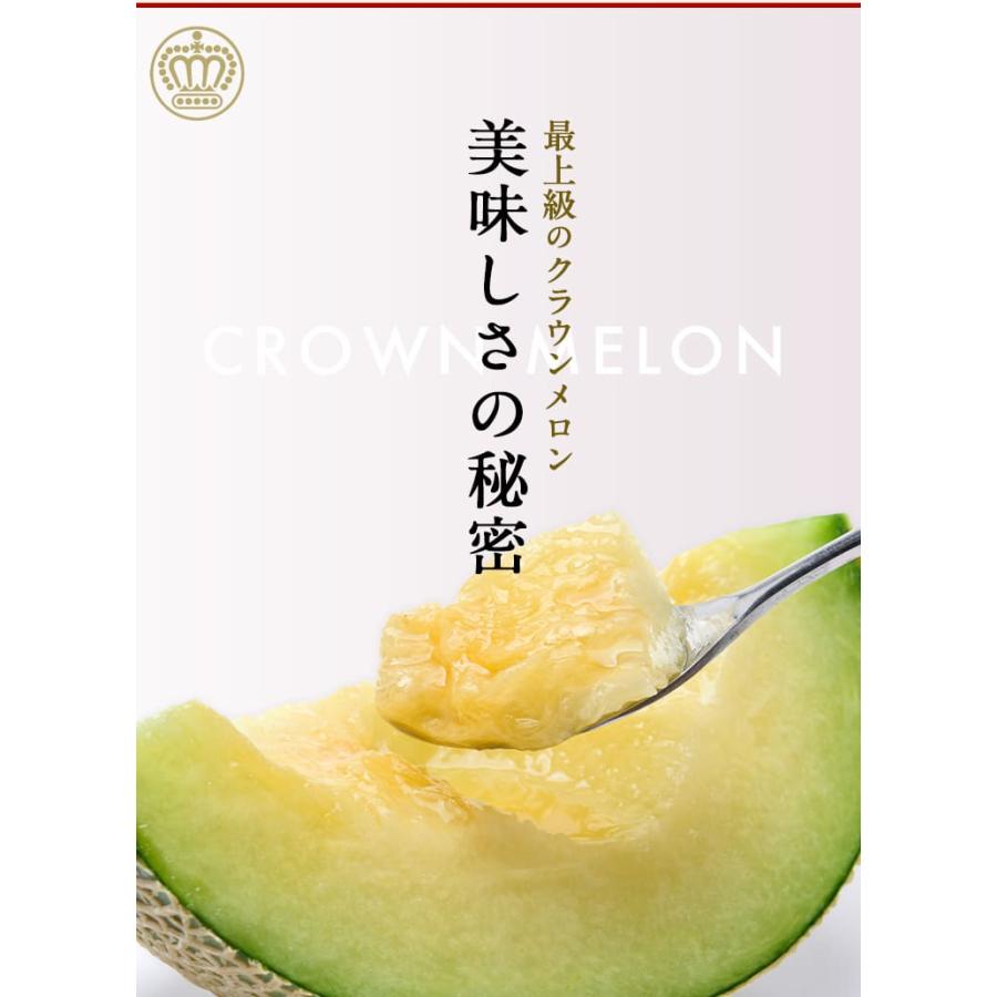 静岡クラウンメロンジェラート　90ml×6個セット　メロン専門店　贈り物　お中元　アイスクリーム　クラウンメロン　北海道産生クリーム | ブランド登録なし | 07