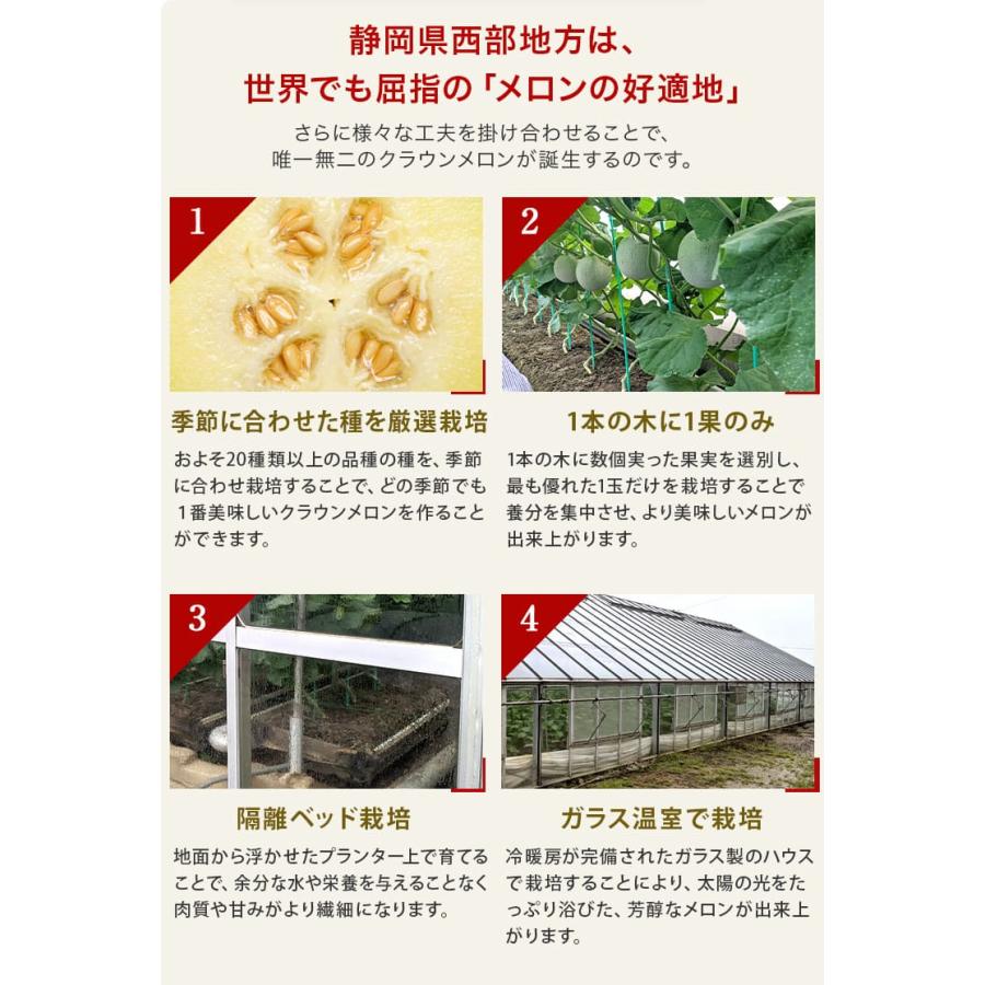 静岡クラウンメロンジェラート　90ml×6個セット　メロン専門店　贈り物　お中元　アイスクリーム　クラウンメロン　北海道産生クリーム | ブランド登録なし | 08