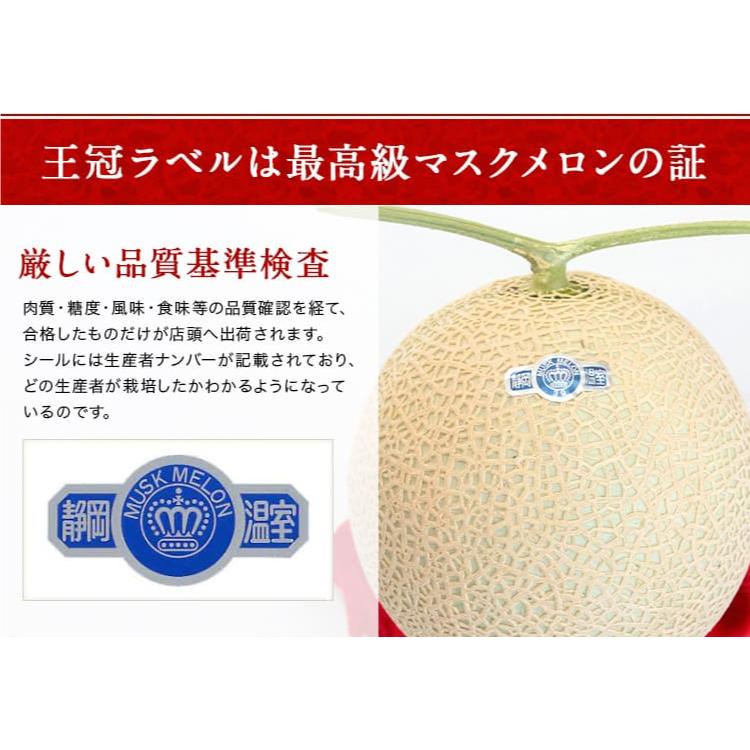 静岡クラウンメロンジェラート　90ml×6個セット　メロン専門店　贈り物　お中元　アイスクリーム　クラウンメロン　北海道産生クリーム | ブランド登録なし | 09