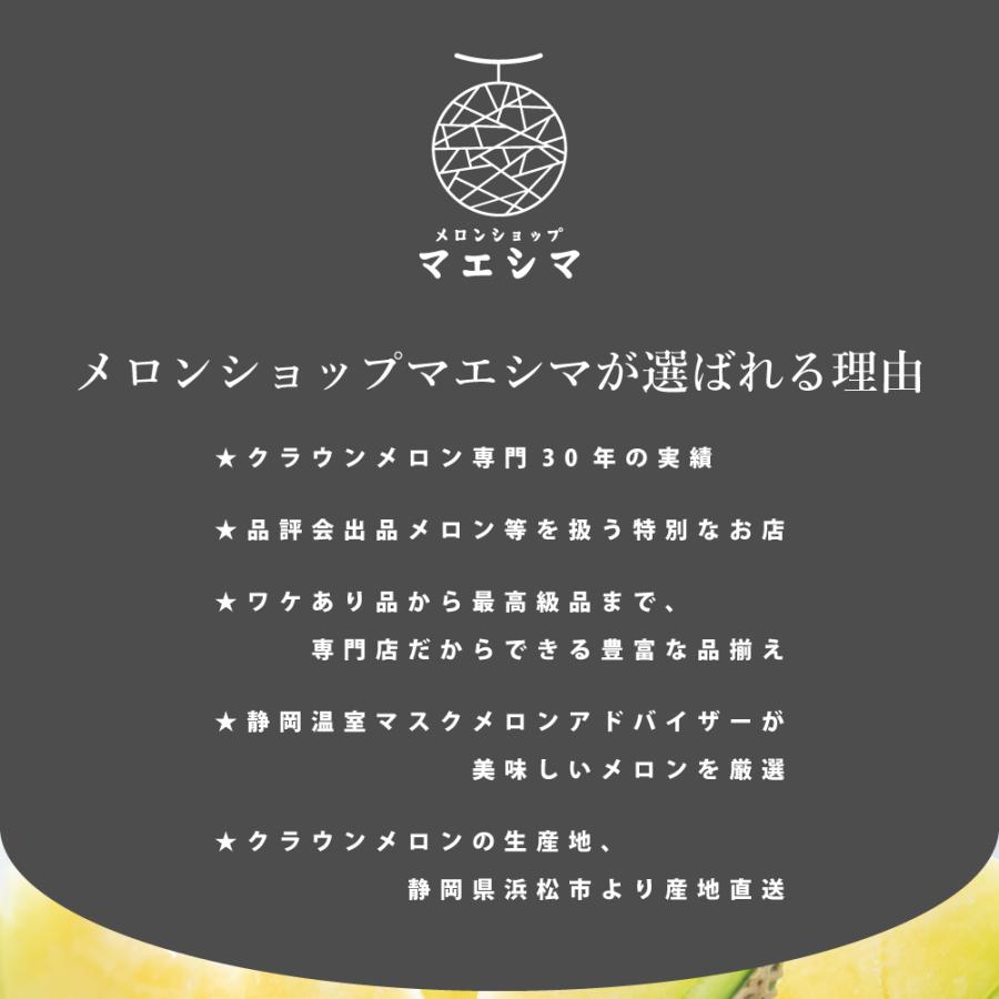 静岡クラウンメロンジェラート　90ml×10個セット　メロン専門店　贈り物　お中元　アイスクリーム　クラウンメロン　北海道産生クリーム | ブランド登録なし | 05
