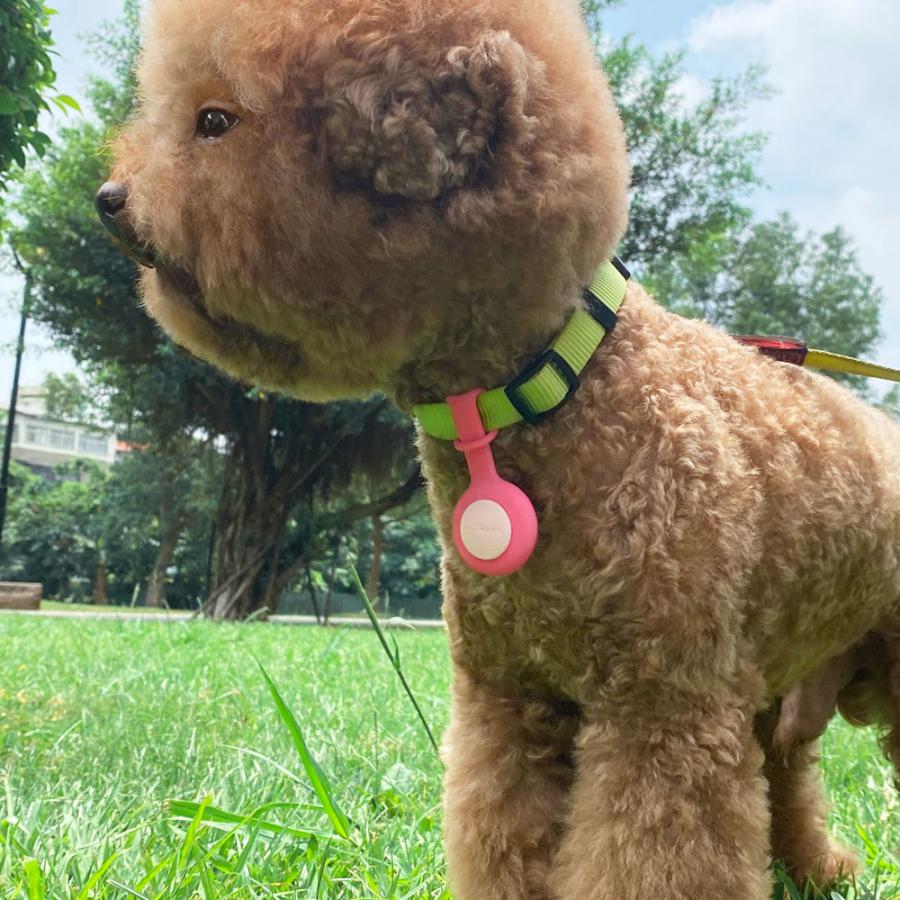 エアタグ シリコン製プロテクター BoneCollection AirTag Charm Strap ボーン シリコン製 エアタグ チャーム ストラップ ケース カバー |  | 09