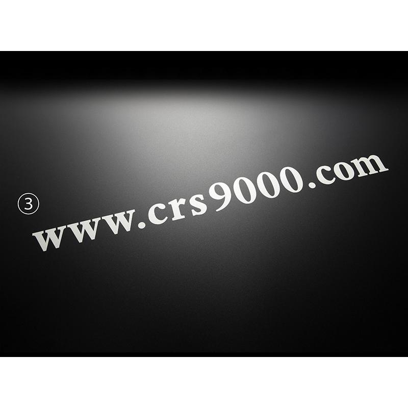 ESSEX（エセックス） 全車対応CRS公式ロゴ アドレスステッカー サイズ