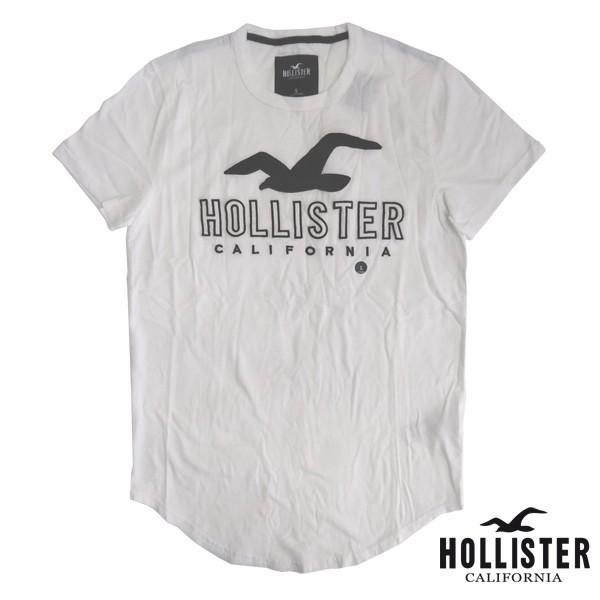 贅沢品 Hollister ホリスター メンズ Tシャツ 刺しゅう Logo ホワイト インポート ブランド ファッション アメカジ ヴィンテージ サーフ スタイル 正規 商品 134 Aynaelda Com