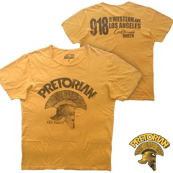 幻の図鑑／鳥類原色大図説(全3巻)／昭9・10 元版です。日本の鳥類図鑑