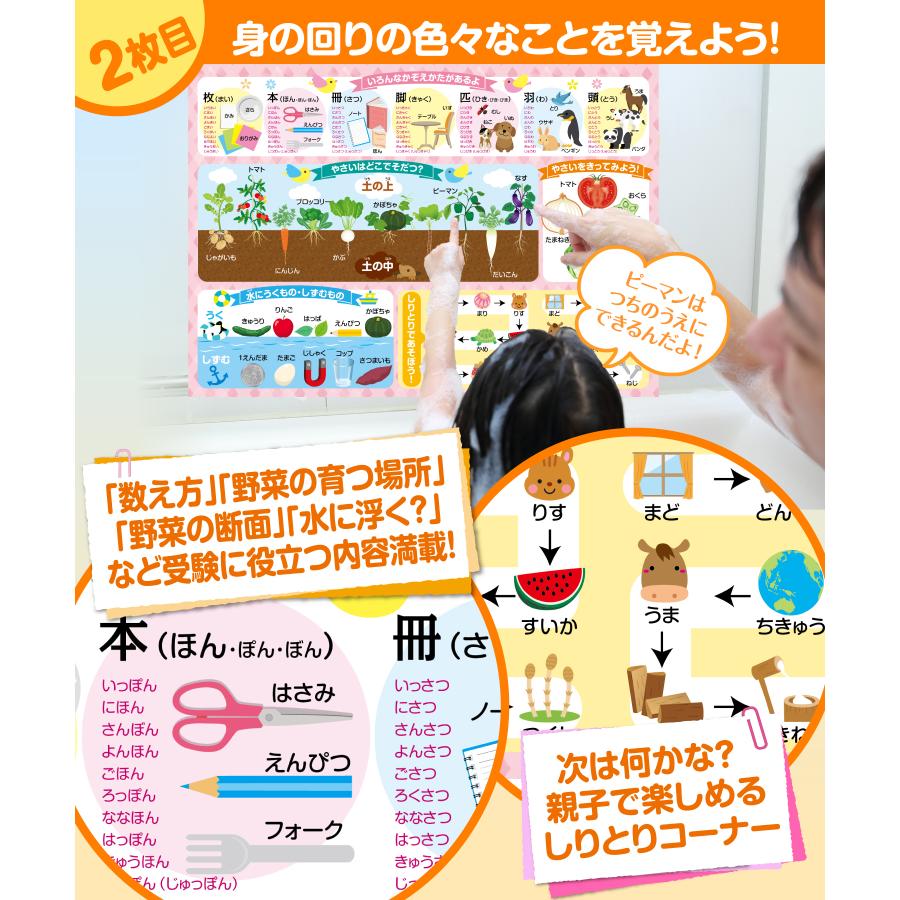 お風呂の学校 小学校 お受験対策 知育 お風呂ポスター 3枚セット 日本