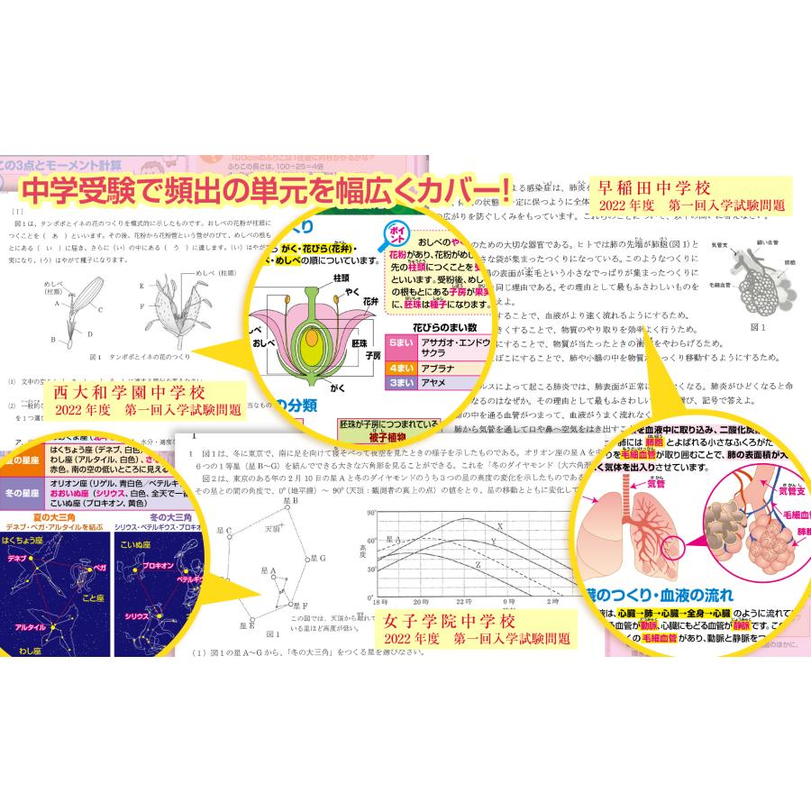 お風呂の学校 中学受験マスター理科 お風呂ポスター 3枚セット 日本製 B3サイズ 学習 知育 防水 |  | 10