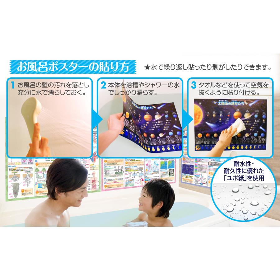お風呂の学校 中学受験マスター理科 お風呂ポスター 3枚セット 日本製