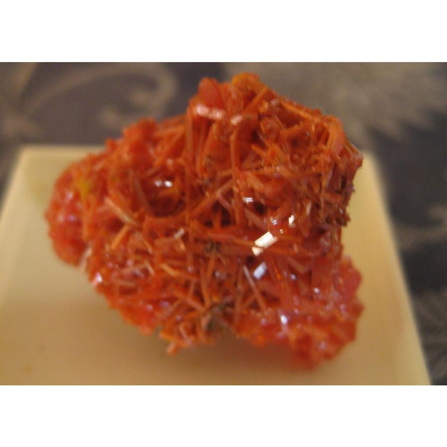 クロコアイト オーストラリア産 外国産鉱物標本 和名：紅鉛鉱