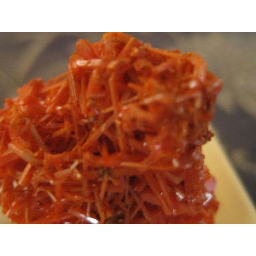 クロコアイト オーストラリア産 外国産鉱物標本 和名：紅鉛鉱