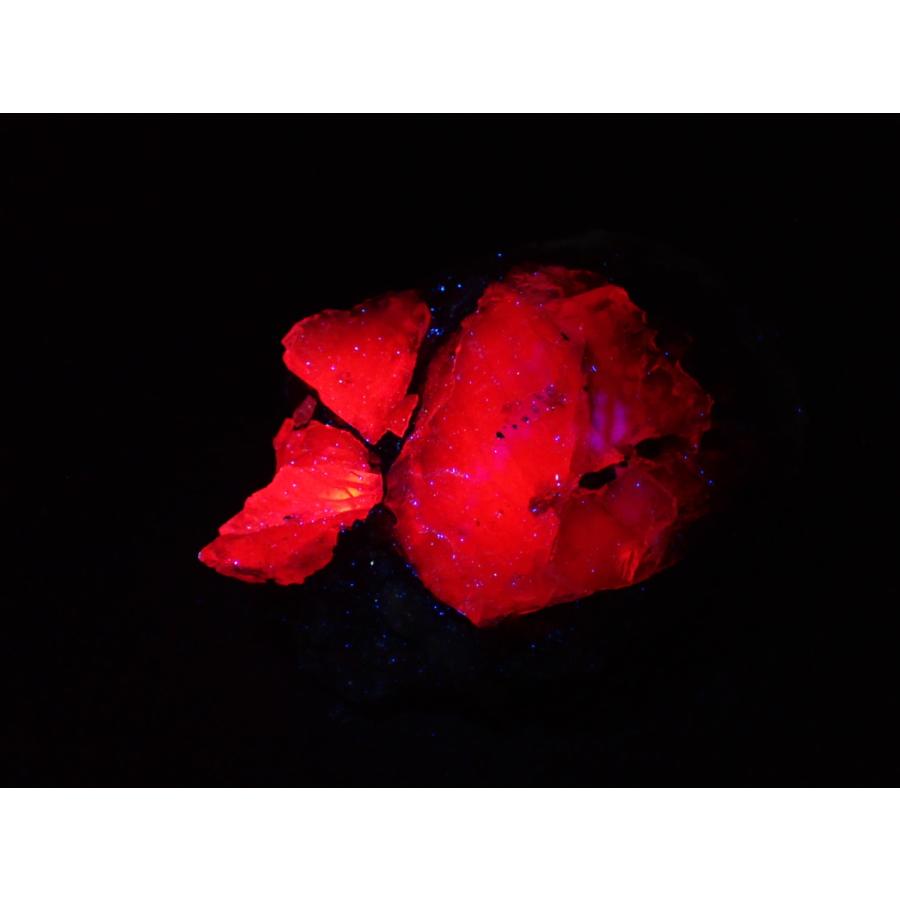 メキシコ産 フローライト/Fluorite(赤蛍光) 原石　A-FLR336