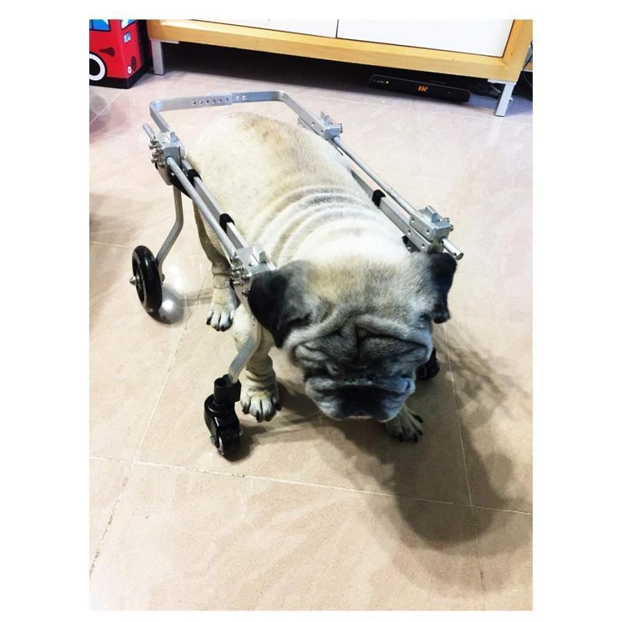 犬用歩行器 親友 - 犬車椅子調節可能な4輪ステンレス鋼カートペット/猫犬車椅子後肢障害者用リハビリテーション 犬用車椅子 犬用歩行器 親友 犬車椅子調節可能な4輪ステンレス鋼カートペット/猫犬車椅子後肢障害者用リハビリテーション 犬用車椅子