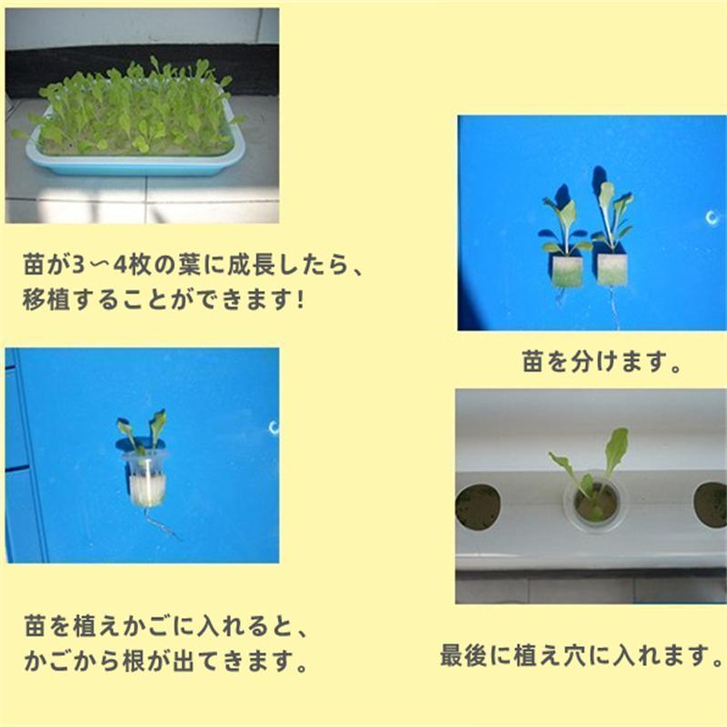 水耕栽培キット 3層12管 無土壌栽培設備配管水耕野菜栽培 室内と庭園栽培器 育成システム 家庭用 ベランダ 庭 スポンジ ポンプ付き プランター 野菜を育てる 