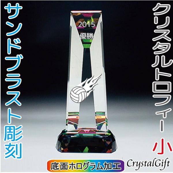 公式 トロフィー クリスタルトロフィー サイズ小 サンドブラスト彫刻 記念品 お祝い 表彰 スポーツ大会 社内表彰 名入れ ギフト プレゼント Cr 12c 全国組立設置無料 Zoetalentsolutions Com
