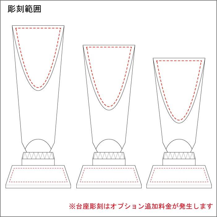 トロフィー クリスタルトロフィー サイズ大 写真彫刻可 レーザー彫刻 記念品 お祝い 表彰 社内表彰 名入れ ギフト プレゼント CR-35A プレゼント クリスタルトロフィー 写真彫刻可 記念品 社内表彰 名入れ ギフト CR 35A