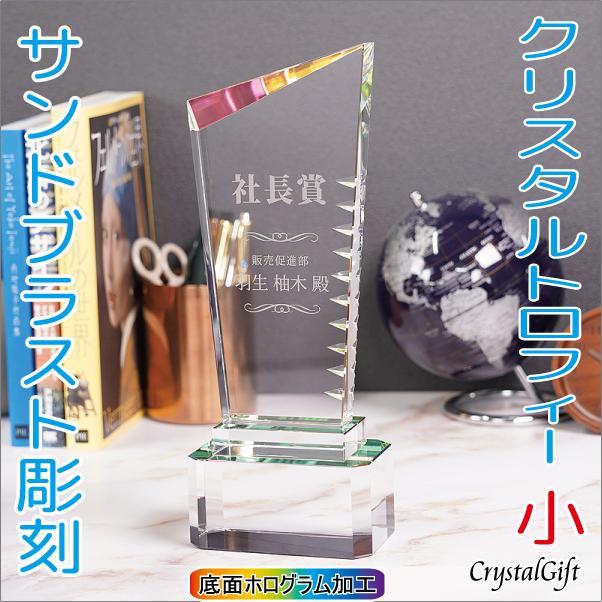 スポーツ 80 クロス トロフィー クリスタルトロフィー サイズ小 サンドブラスト彫刻 記念品 お祝い 表彰 スポーツ大会 社内表彰 名入れ ギフト プレゼント Cr 47c Bi4xnrjbjr Www Kbdav Ac In
