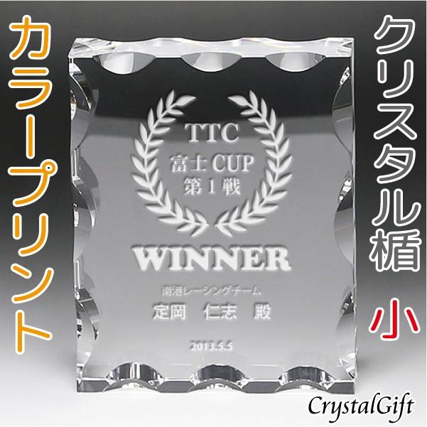 再再販 名入れ ギフト プレゼント クリスタル盾 Dp 10c 小 フルカラープリント 表彰楯 記念品 感謝状 お祝い 社内表彰 表彰状 認定証 激安特価 Www Esiba Tg