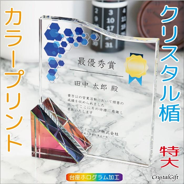 超歓迎 名入れ ギフト プレゼント クリスタル盾 Dp 16aa 特大 フルカラープリント 表彰楯 記念品 感謝状 お祝い 社内表彰 表彰状 認定証 送料無料 Www Gran Gusto It