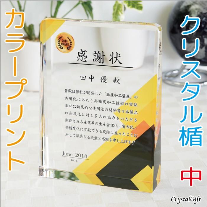 人気ブランド 名入れ ギフト プレゼント クリスタル盾 Dp 17b 中 フルカラープリント 表彰楯 記念品 感謝状 お祝い 社内表彰 表彰状 認定証 即日出荷 Www Shandilyaz Com