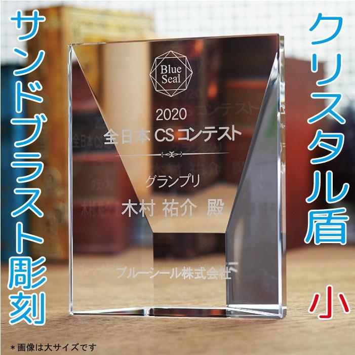 在庫あり 即納 名入れ ギフト プレゼント クリスタル盾 Dp 18c 小 サンドブラスト彫刻 表彰楯 記念品 感謝状 お祝い 父の日 社内表彰 表彰状 認定証 安いそれに目立つ Www Simon Page Com