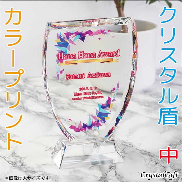 盾 クリスタル盾 カラープリント 表彰楯 記念品 感謝状 お祝い 父の日 社内表彰 表彰状 認定証 Dp 1b Dp 1b U 名入れギフトのクリスタルギフト 通販 Yahoo ショッピング