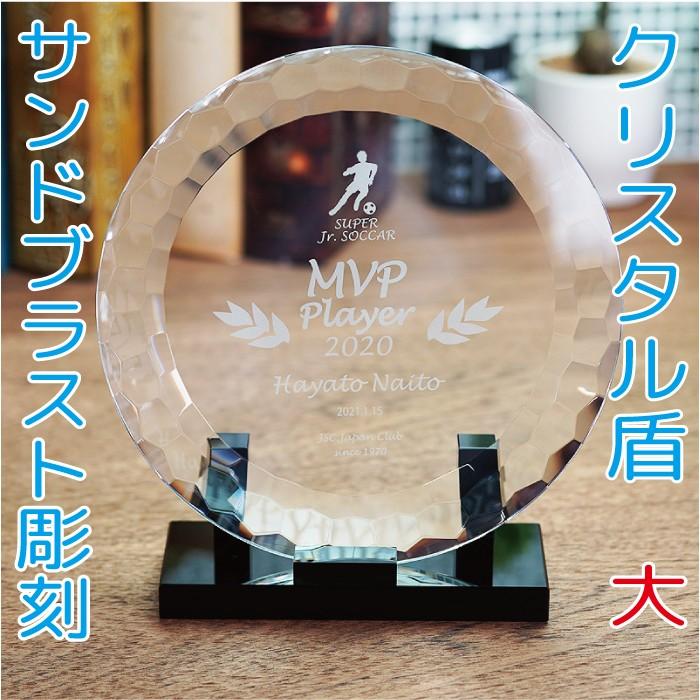 名入れ ギフト プレゼント クリスタル盾 Dp a 大 サンドブラスト彫刻 表彰楯 記念品 感謝状 お祝い 父の日 社内表彰 表彰状 認定証 特価品コーナー