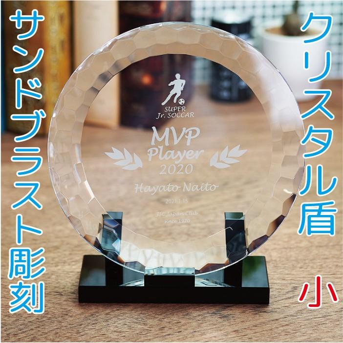 最も優遇 名入れ ギフト プレゼント クリスタル盾 Dp c 小 サンドブラスト彫刻 表彰楯 記念品 感謝状 お祝い 父の日 社内表彰 表彰状 認定証 超激安 Www Simon Page Com