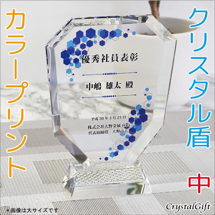 新版 盾 クリスタル盾 カラープリント 表彰楯 記念品 感謝状 お祝い 父の日 社内表彰 表彰状 認定証 Dp 2b 日本産 Www Staips Net