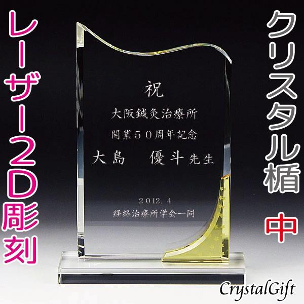 名入れ ギフト プレゼント クリスタル盾 DP-8B 中 レーザー彫刻 表彰楯 記念品 感謝状 お祝い スポーツ大会 社内表彰 表彰状 認定証 名入れ プレゼント クリスタル盾 DP 8B 記念品 感謝状 スポーツ大会 社内表彰 表彰状 認定証