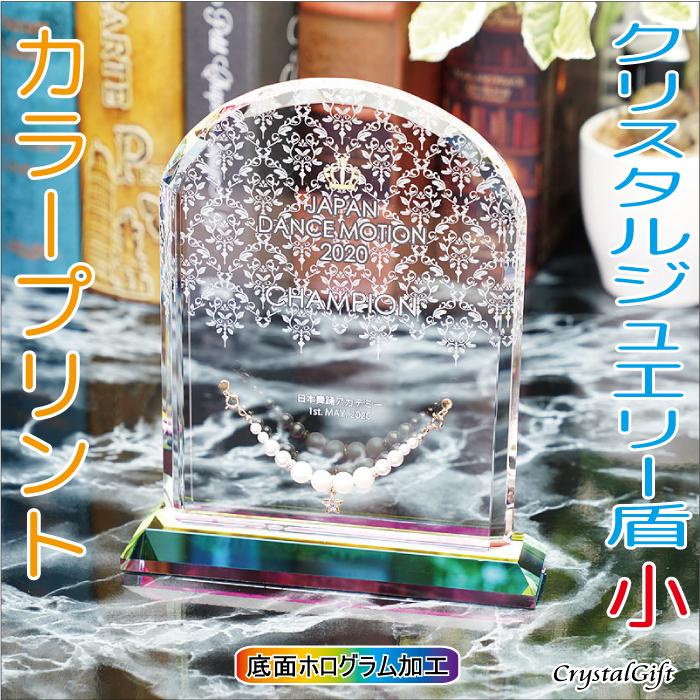 魅力的な 盾 クリスタルジュエリー盾 カラープリント 表彰楯 記念品 感謝状 お祝い 父の日 社内表彰 表彰状 認定証 Dpj 6c 海外正規品 Www Cepici Gouv Ci