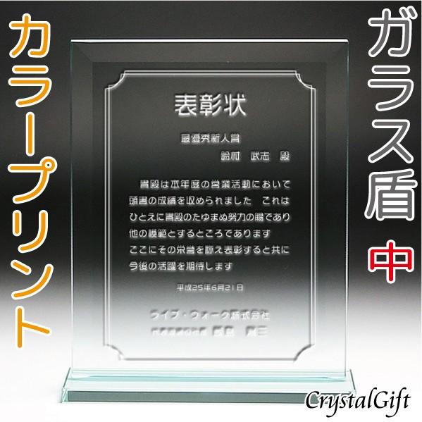 輝く高品質な ガラス盾 表彰楯 中 写真プリント可 カラープリント 感謝状 記念品 ソーダガラス盾 社内表彰 表彰状 認定証 名入れ ギフト プレゼント Ps 2b 現金特価 Zoetalentsolutions Com