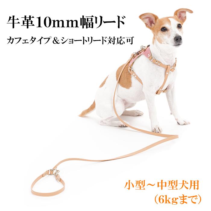 ハーネスリード 犬 おしゃれ 安全帯 小型犬 中型犬 10mm幅ハーネス専用