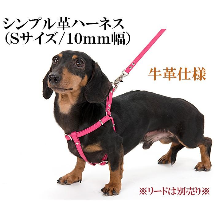 ハーネス 犬 おしゃれ 安全帯 小型犬 シンプル革ハーネス１０mm幅ｓサイズ Hanes001 犬首輪専門店クリスタルポイント 通販 Yahoo ショッピング