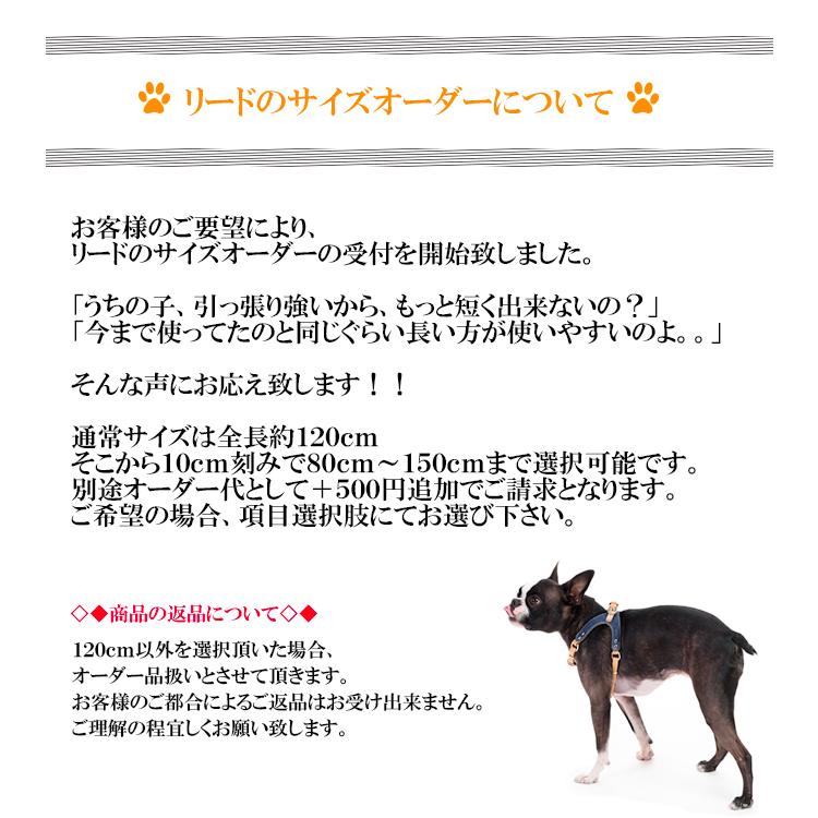 ハーネス 犬 おしゃれ 安全帯 小型犬 シンプル革ハーネス１０mm幅＋リード付　Ｓサイズ｜crystalpoint｜17