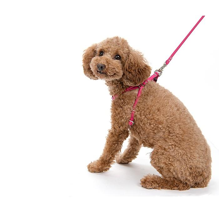 ハーネス 犬 おしゃれ 安全帯 小型犬 シンプル革ハーネス１０mm幅 リード付 ｓサイズ Hanes002 犬首輪専門店クリスタルポイント 通販 Yahoo ショッピング